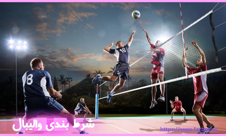شرط بندی والیبال