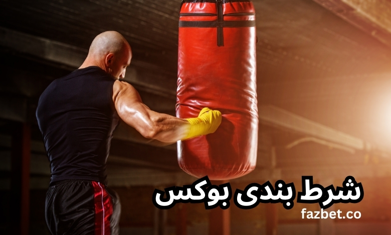 شرط بندی بوکس