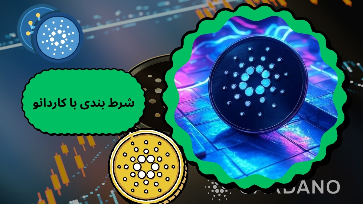 شرط بندی با کاردانو