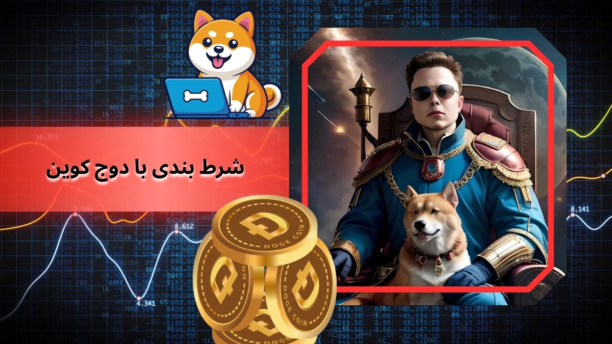 شرط بندی با دوج کوین